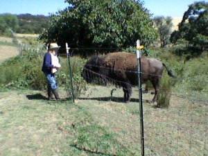 Auntie jabbers away while Minko enjoys her carrots